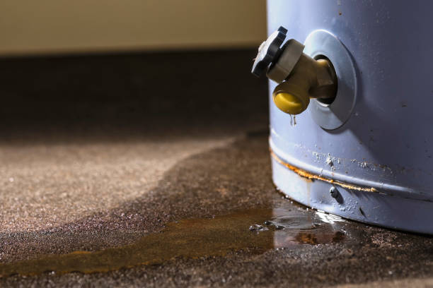 Best Flood damage cleanup  in Shasta Lake, CA