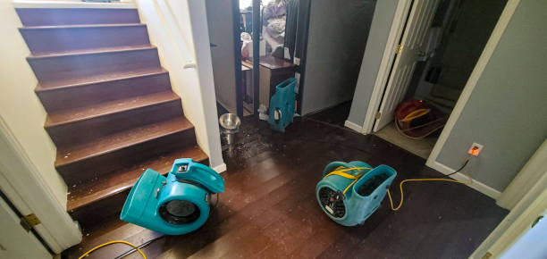 Best Carpet water damage restoration  in Shasta Lake, CA