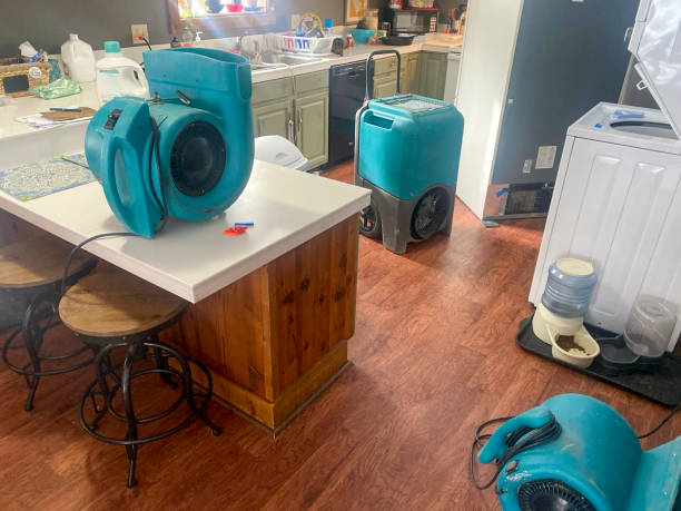 Best Water damage restoration near me  in Shasta Lake, CA