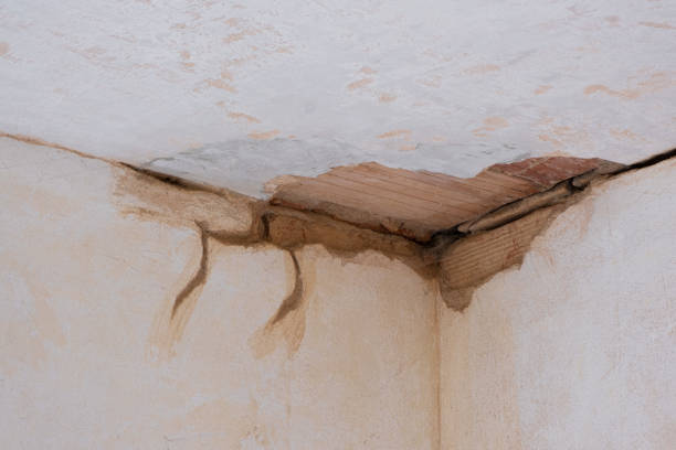 Best 24-hour water damage restoration  in Shasta Lake, CA