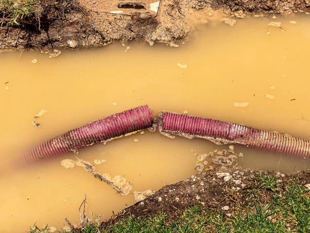 Best Water damage restoration insurance claims  in Shasta Lake, CA